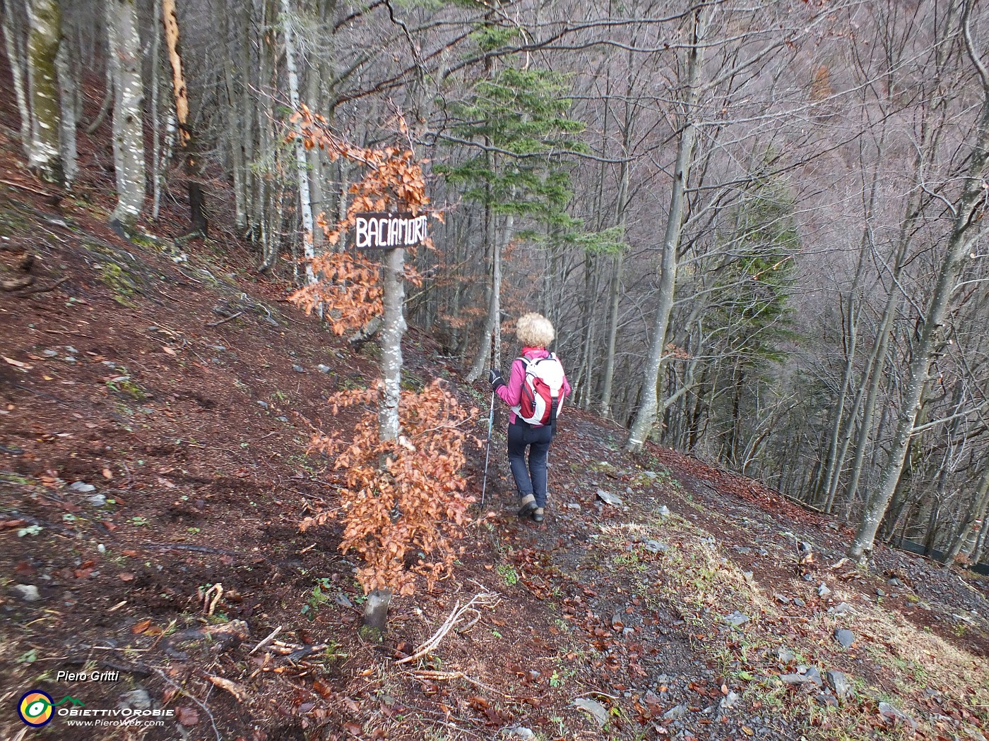 09 Sul sentiero 153 da Capo Foppa al Passo Baciamorti.JPG